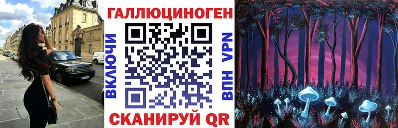 Галлюциногенные грибы Psilocybe  купить  цена  Зеленодольск 
